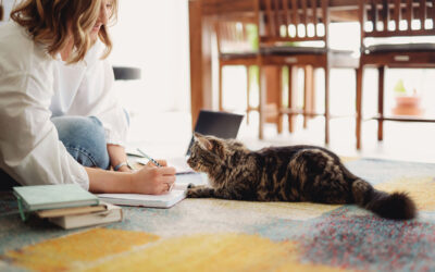 Anyaként újra munkában